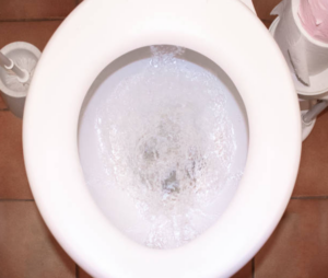 Clogged Toilet